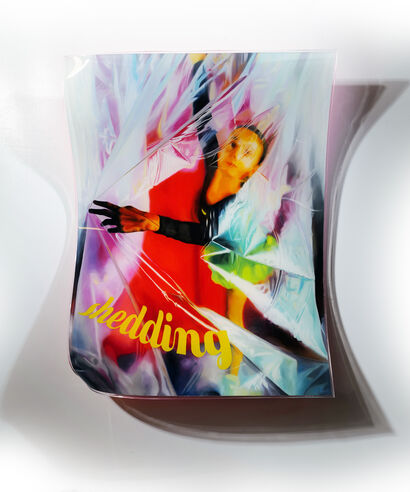 SHEDDING - A Paint Artwork by Diego Baldoin